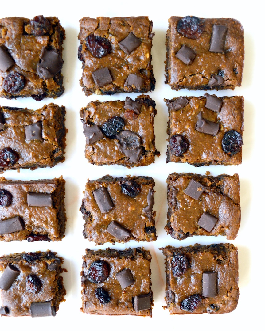 Gingerbread Cranberry Chocolate Chunk Chickpea Blondies (Vegan, Gluten-Free) by Plantbased Baker